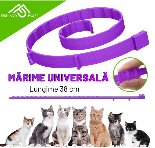 Zgarda reglabila si respirabila anti purici pentru pisici