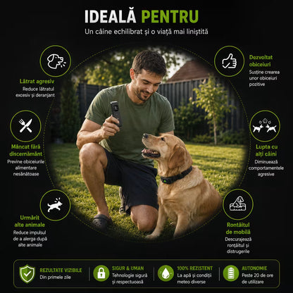 Zgarda electrica dresaj caini