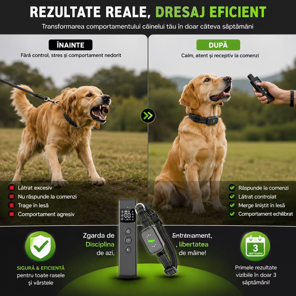 Zgarda electrica dresaj caini