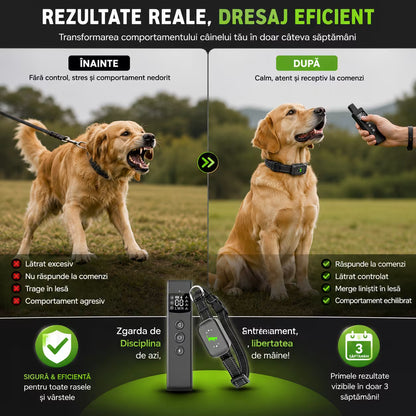 Zgarda electrica dresaj caini