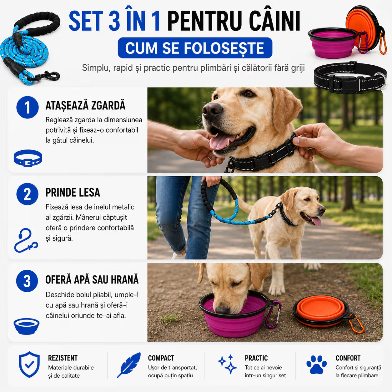 Set 3 in 1 pentru Caini
