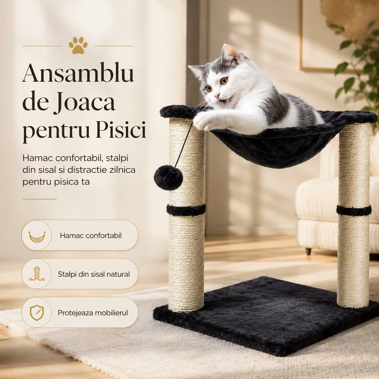 Ansamblu de joaca cu bila Mediu (TT)