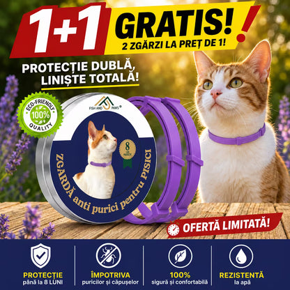 Zgarda reglabila si respirabila anti purici pentru pisici