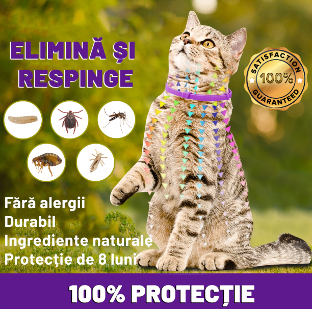 Zgarda reglabila si respirabila anti purici pentru pisici