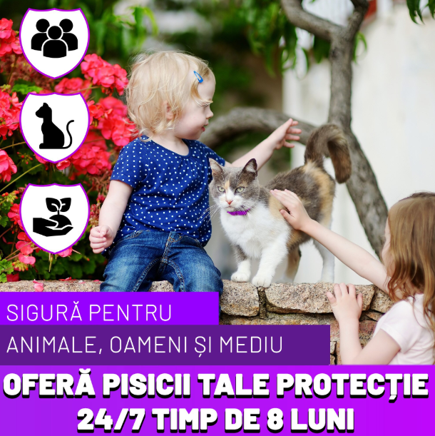 Zgarda reglabila si respirabila anti purici pentru pisici