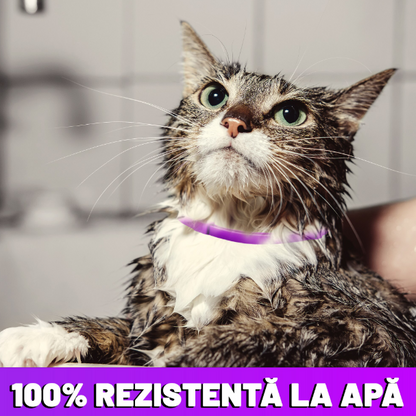 Zgarda reglabila si respirabila anti purici pentru pisici