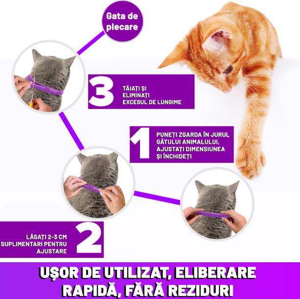 Zgarda reglabila si respirabila anti purici pentru pisici