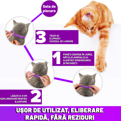Zgarda reglabila si respirabila anti purici pentru pisici