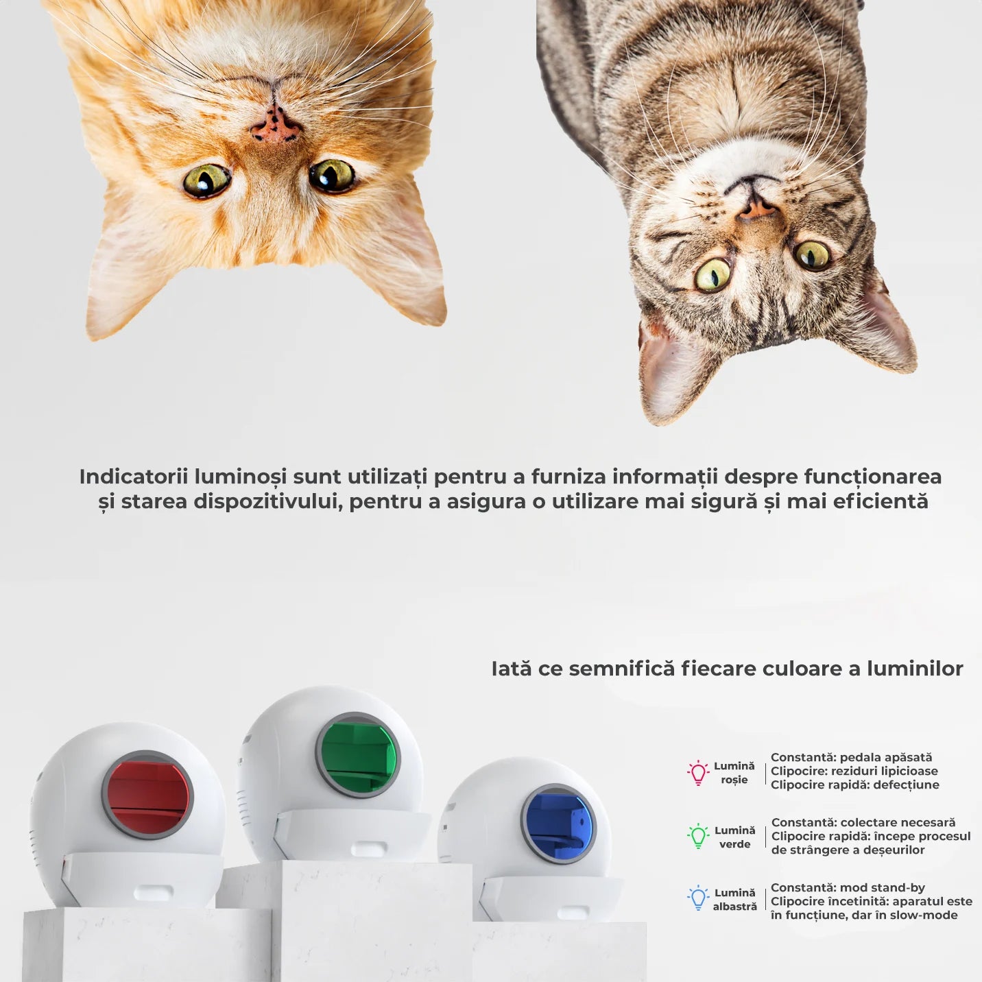 Litiera automata smart pentru pisici