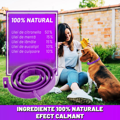 Zgarda reglabila anti purici pentru caini
