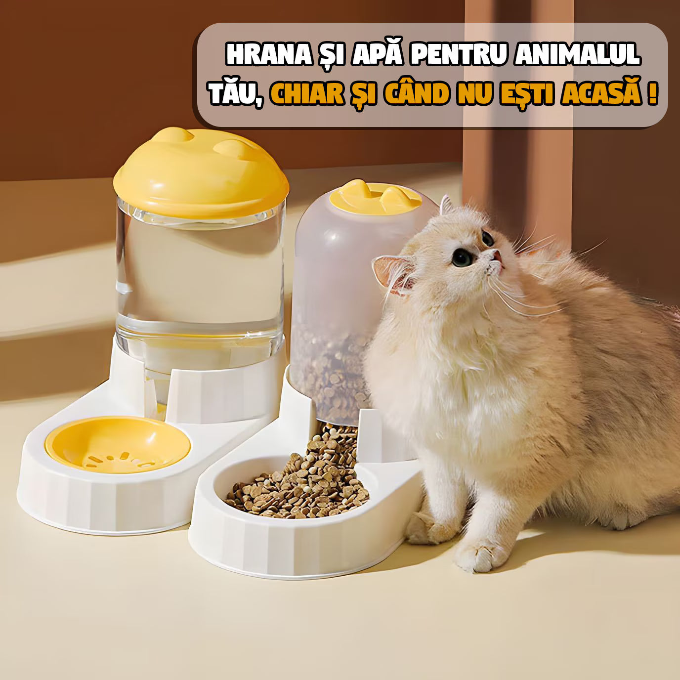 Dispenser de apa si mancare