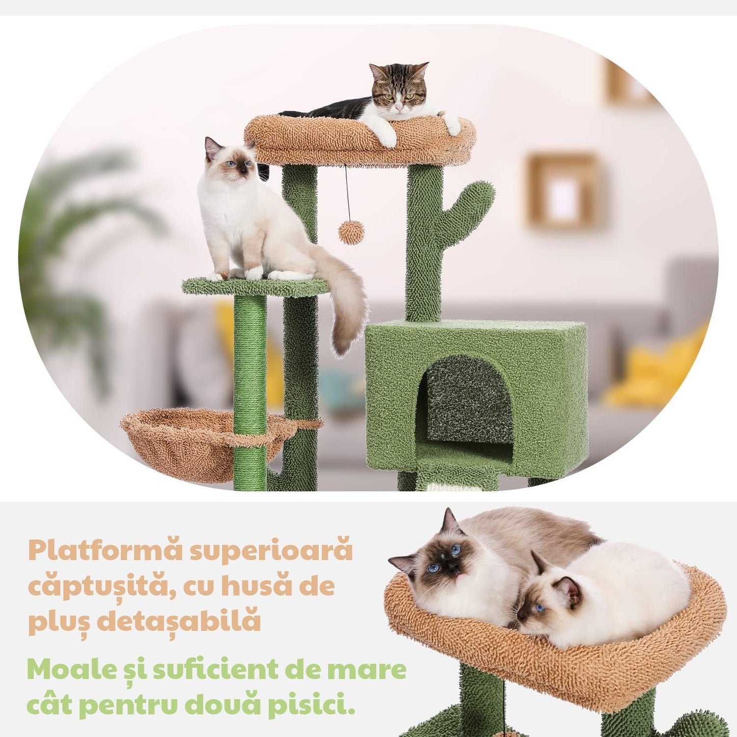 Ansamblu de joaca pentru pisici - Cactus