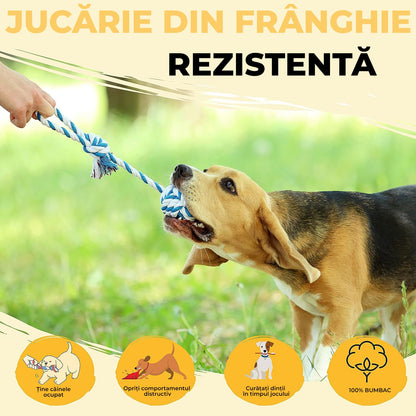 Set de 18 jucarii  interactive pentru caini