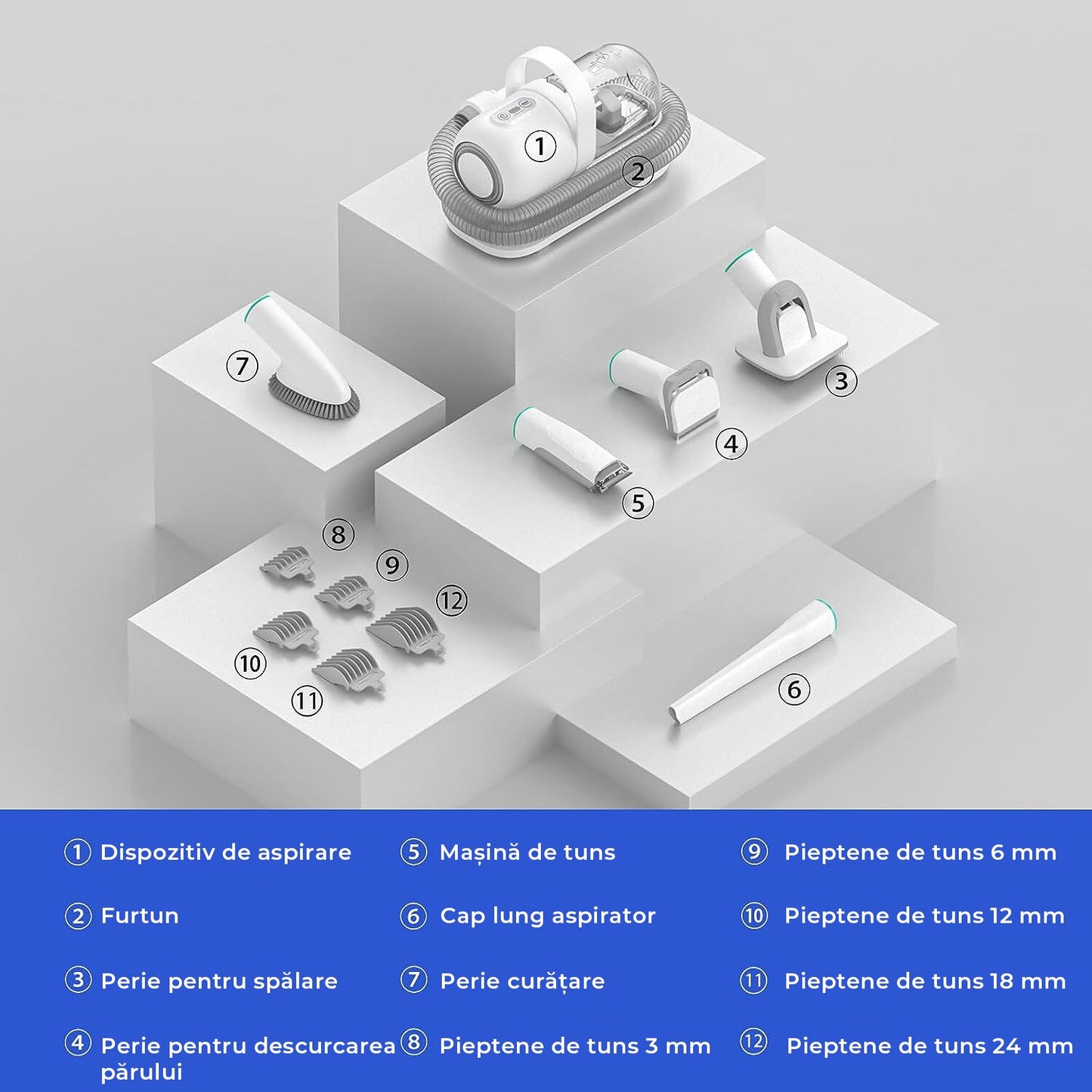 Masina De Tuns Animale - Set 5 in 1