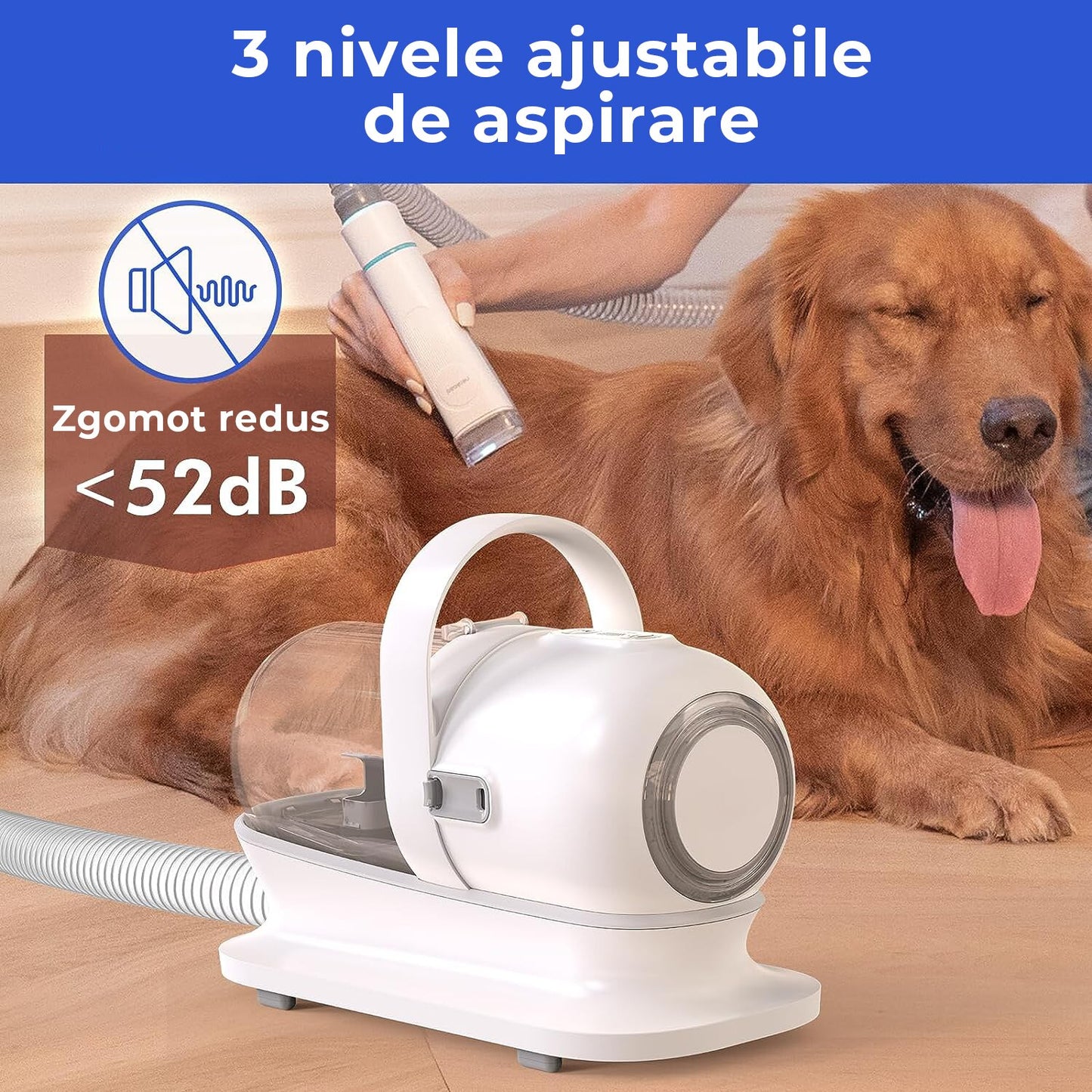 Masina De Tuns Animale - Set 5 in 1