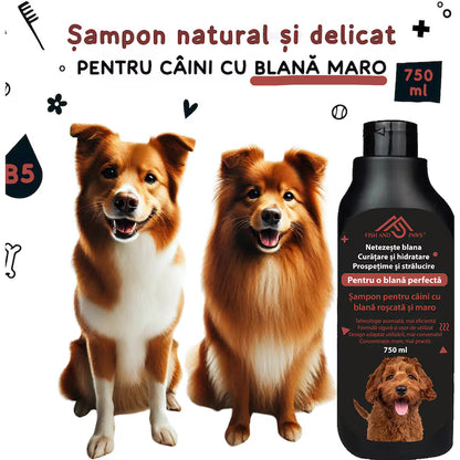 Sampon pentru caini cu blana roscata sau maro