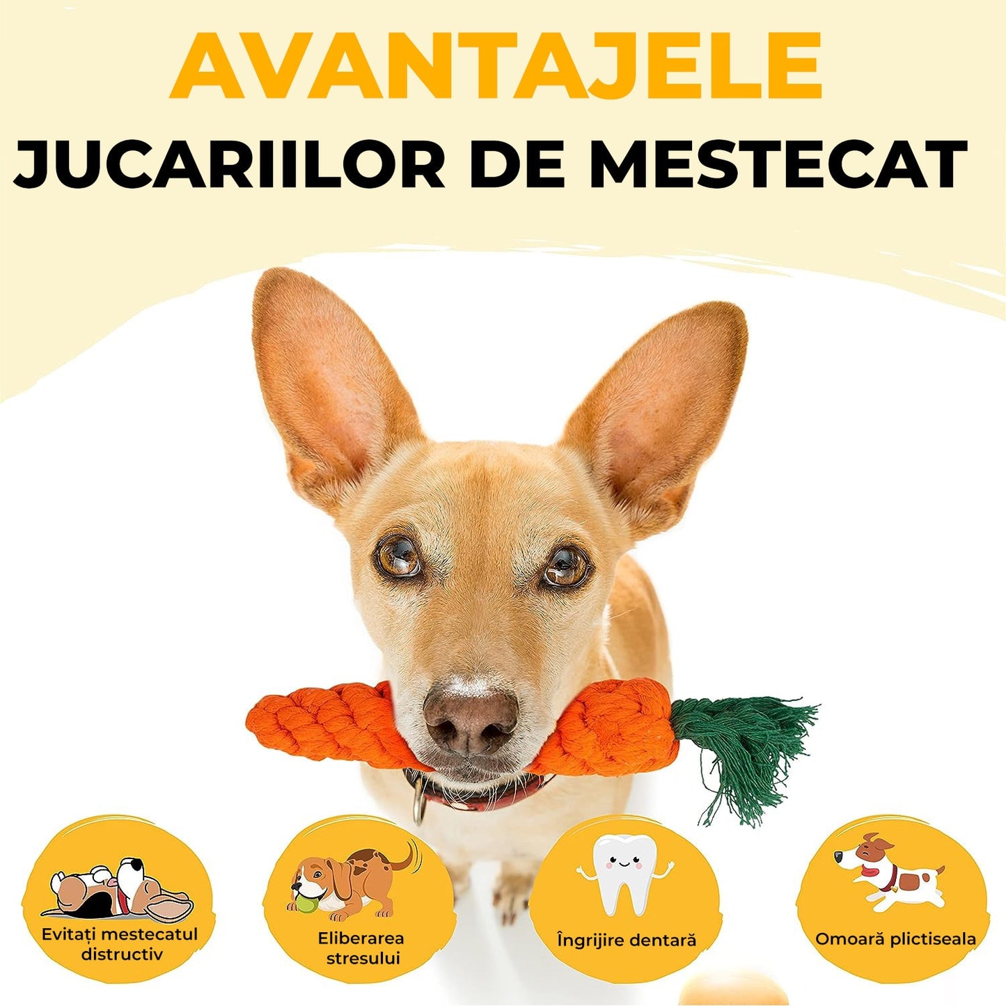 Set de 18 jucarii  interactive pentru caini