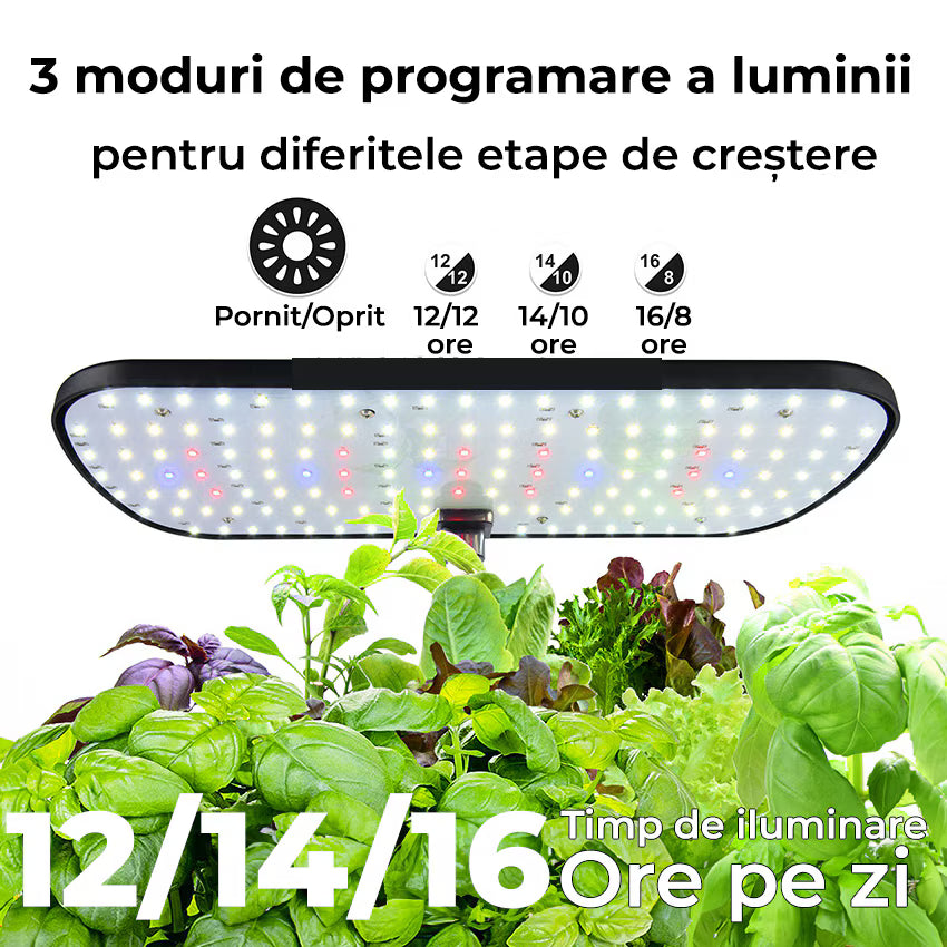 Ghiveci de Plante Hidroponic