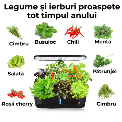 Ghiveci de Plante Hidroponic