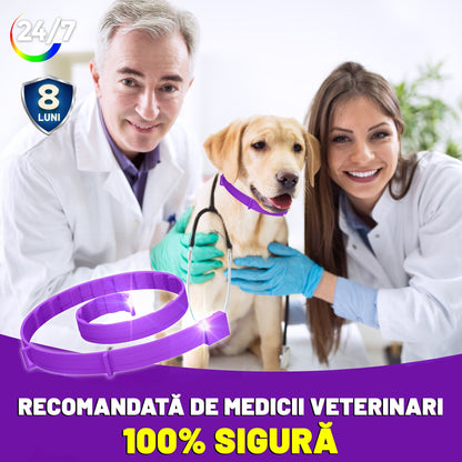 Zgarda reglabila anti purici pentru caini