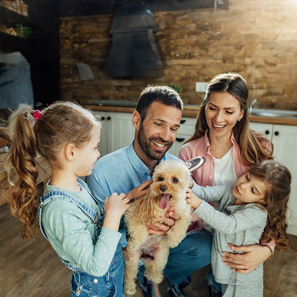 Masina profesionala de tuns animale