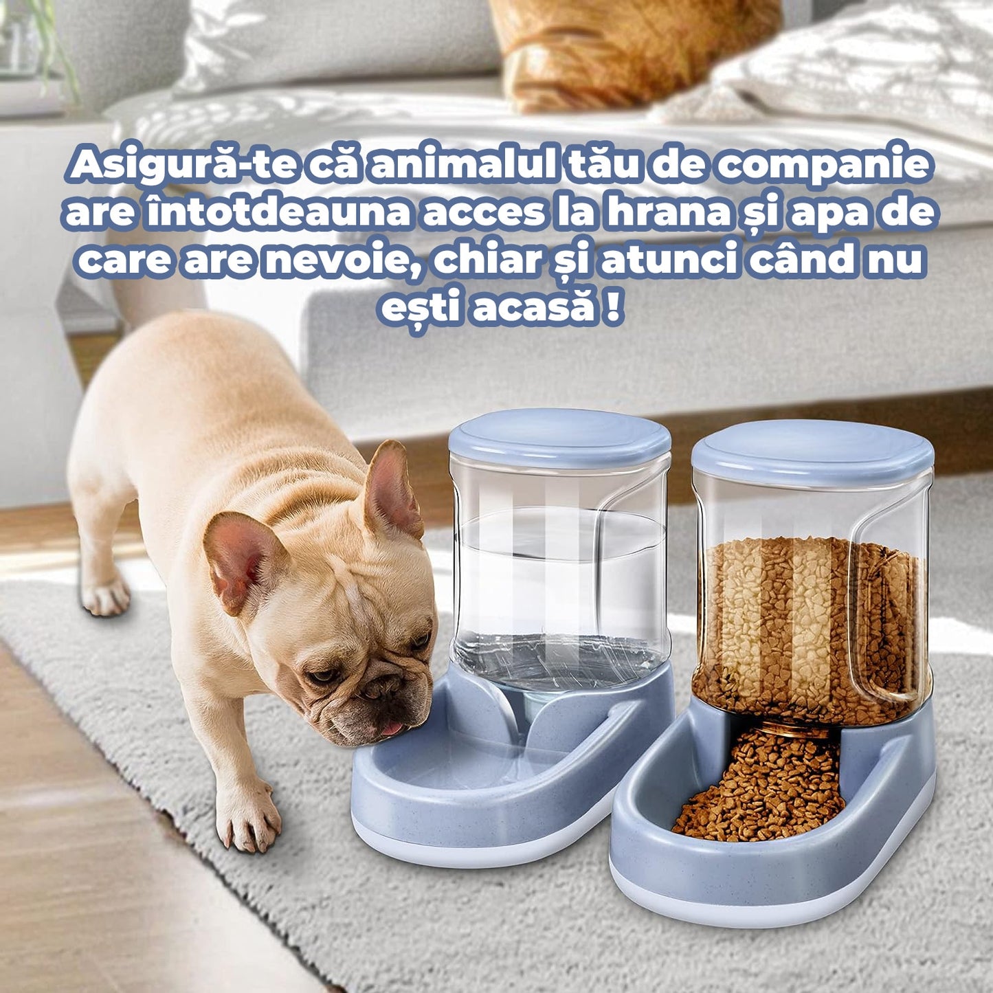 Dispenser de apa 2in1