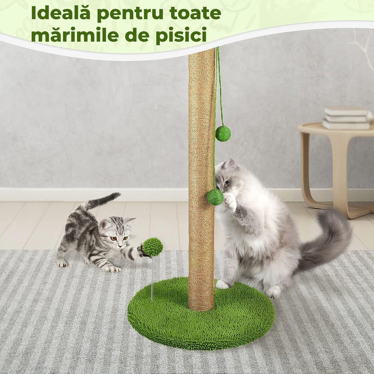 Ansamblu de joaca pentru pisici