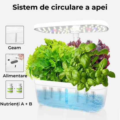 Ghiveci de Plante Hidroponic
