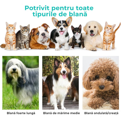 Masina De Tuns Animale - Set 5 in 1