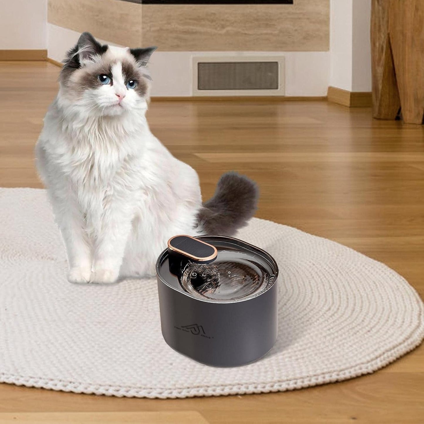 Dispenser apa pentru caini si pisici - ALB NEGRU