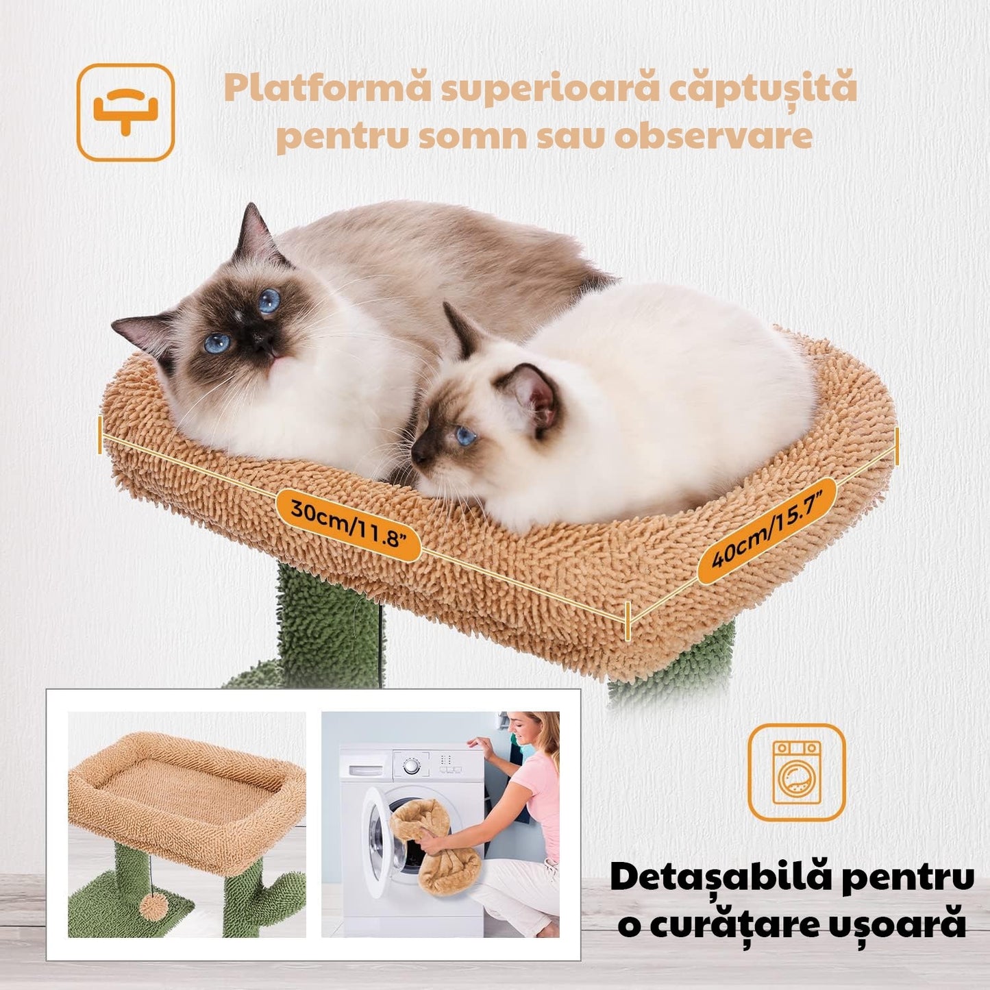 Ansamblu de joaca pentru pisici - Cactus