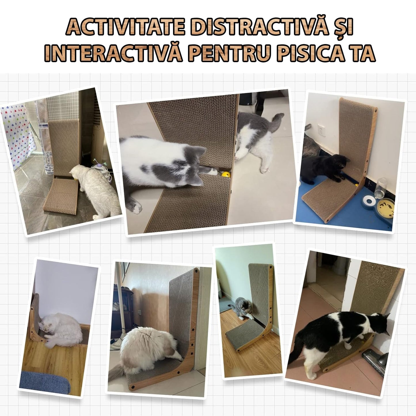 Ansamblu de joaca vertical