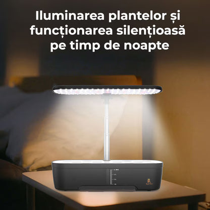 Ghiveci de Plante Hidroponic