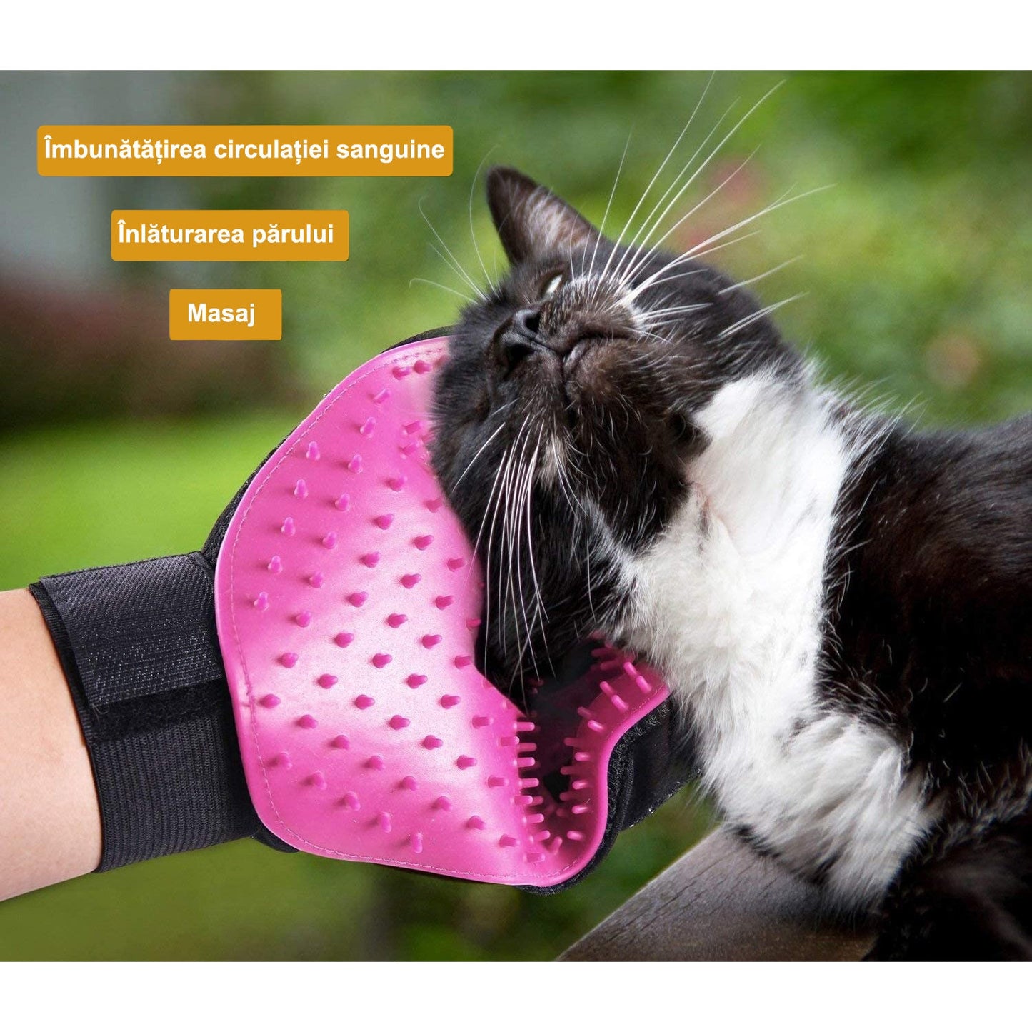 Manusi tip perie de ingrijire pentru caini si pisici