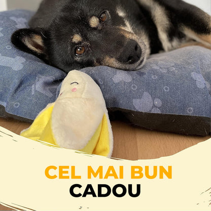 Set de 18 jucarii  interactive pentru caini