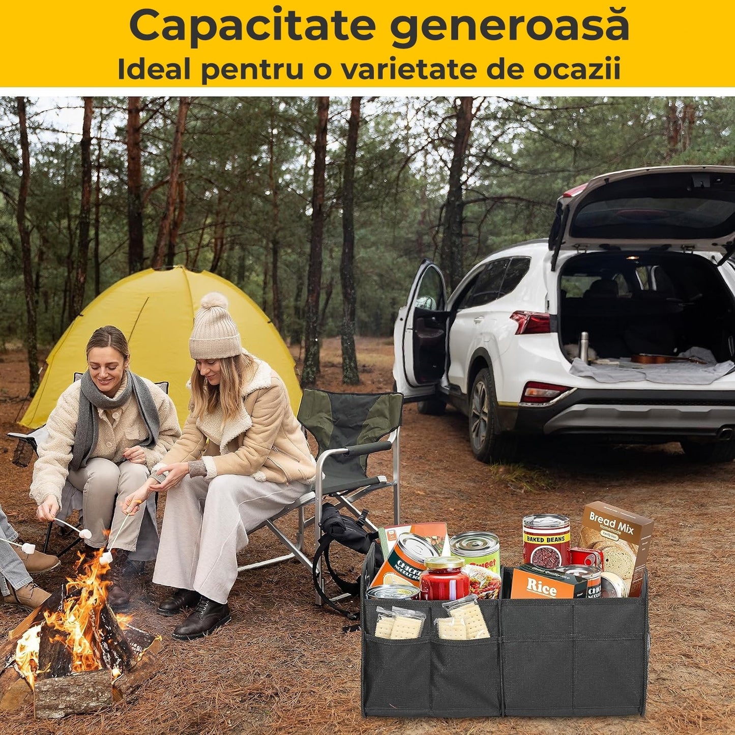 Organizator portbagaj