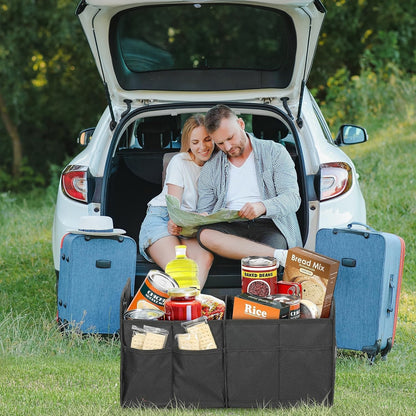 Organizator portbagaj