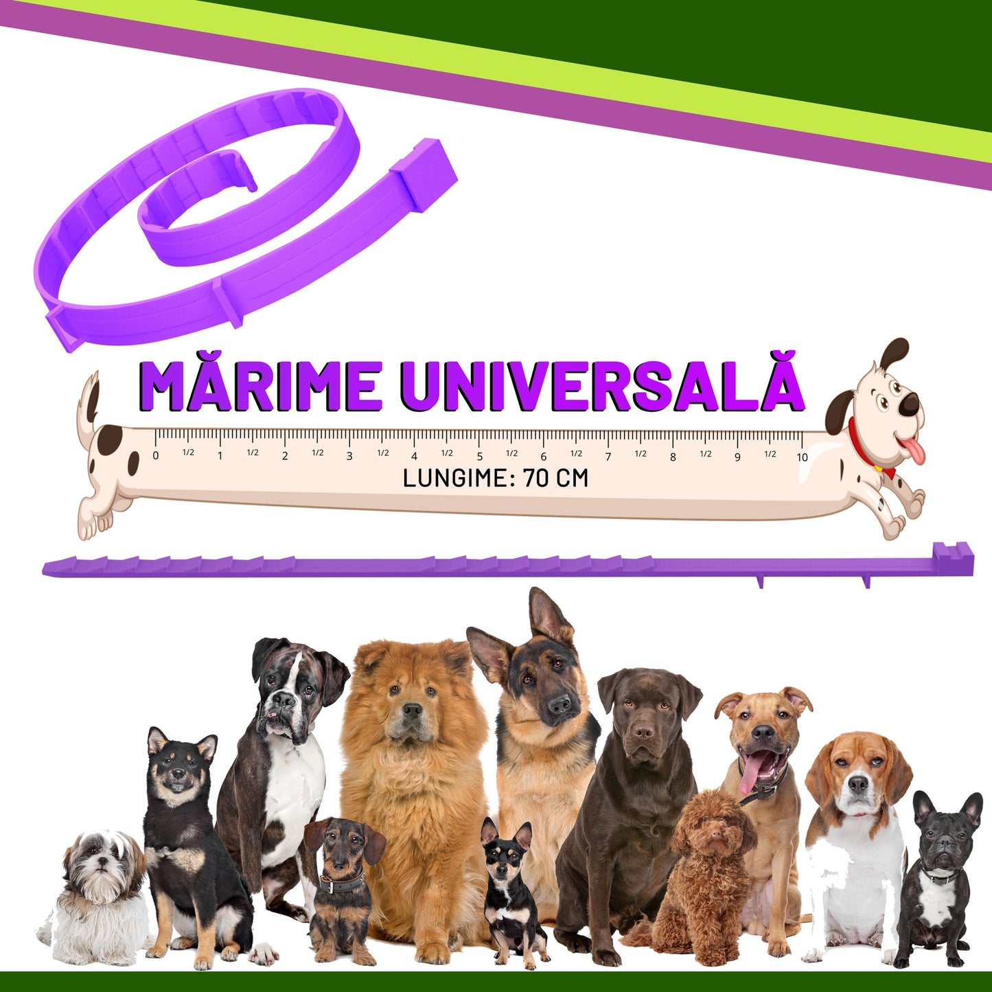 Zgarda reglabila anti purici pentru caini