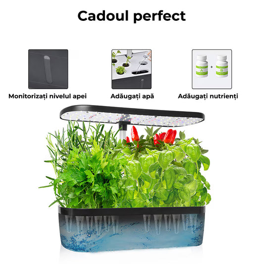 Ghiveci de Plante Hidroponic