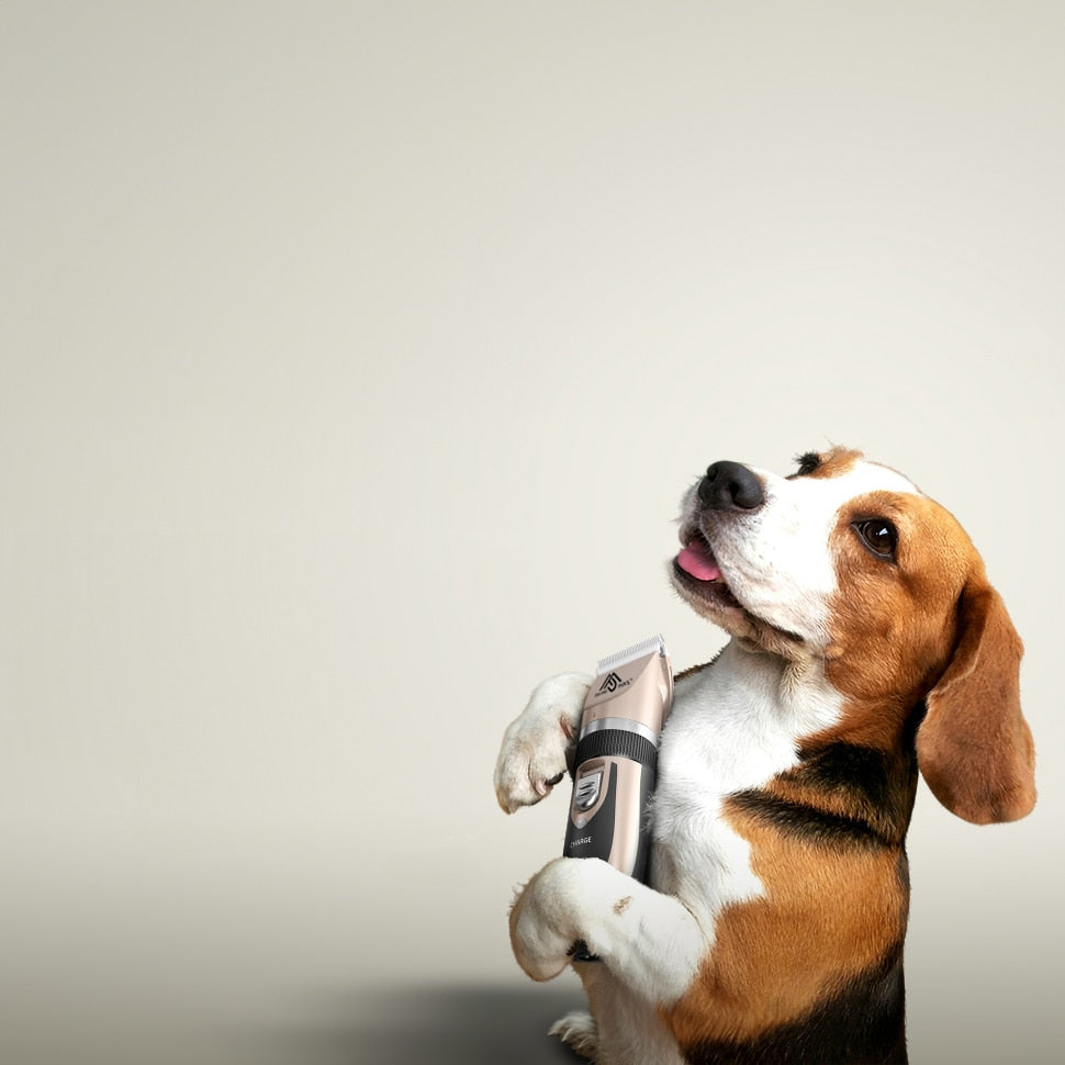 Masina profesionala de tuns animale