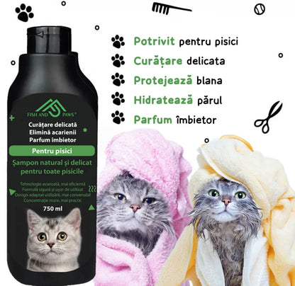 Sampon pentru pisici pentru o blana pufoasa si sanatoasa