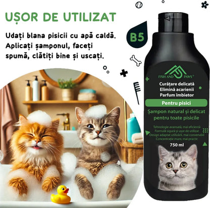Sampon pentru pisici pentru o blana pufoasa si sanatoasa